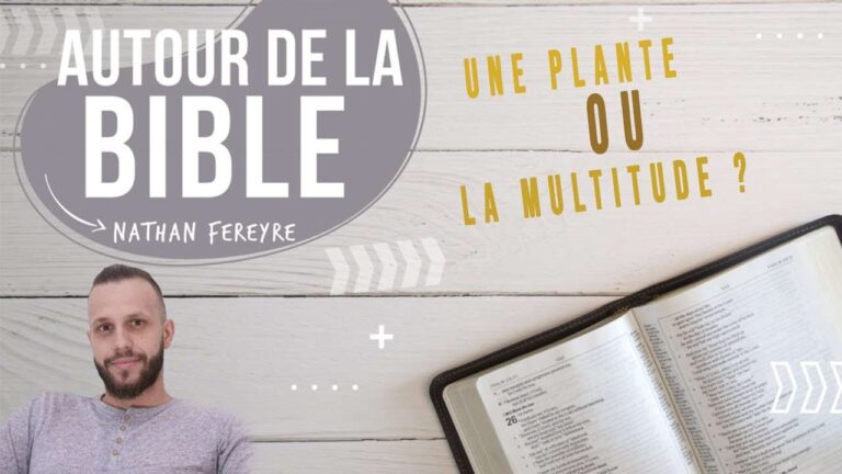 Une-plante-ou-la-multitude-33-Nathan-Fereyre.jpg
